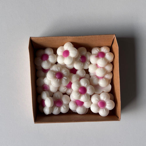 Wax Melts - Sakura